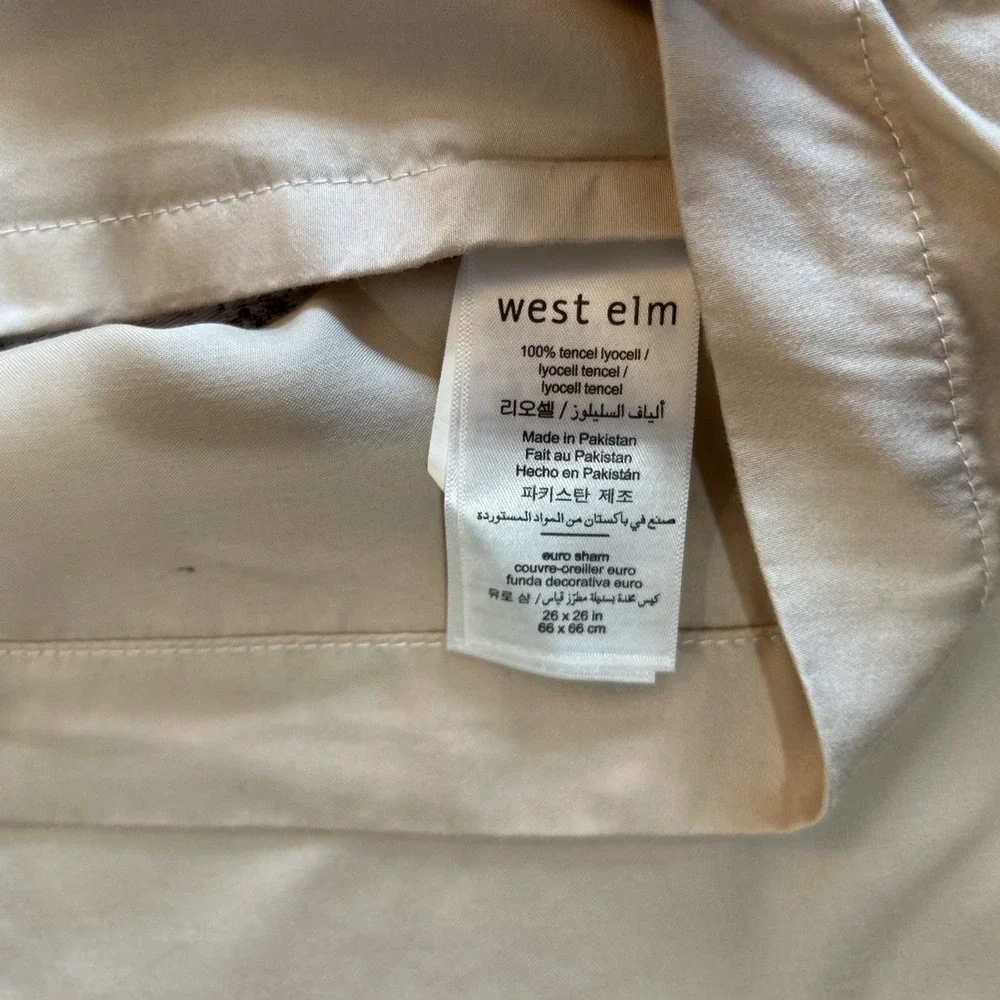 West Elm Euro Sham Silky TENCEL™ Striated in 
